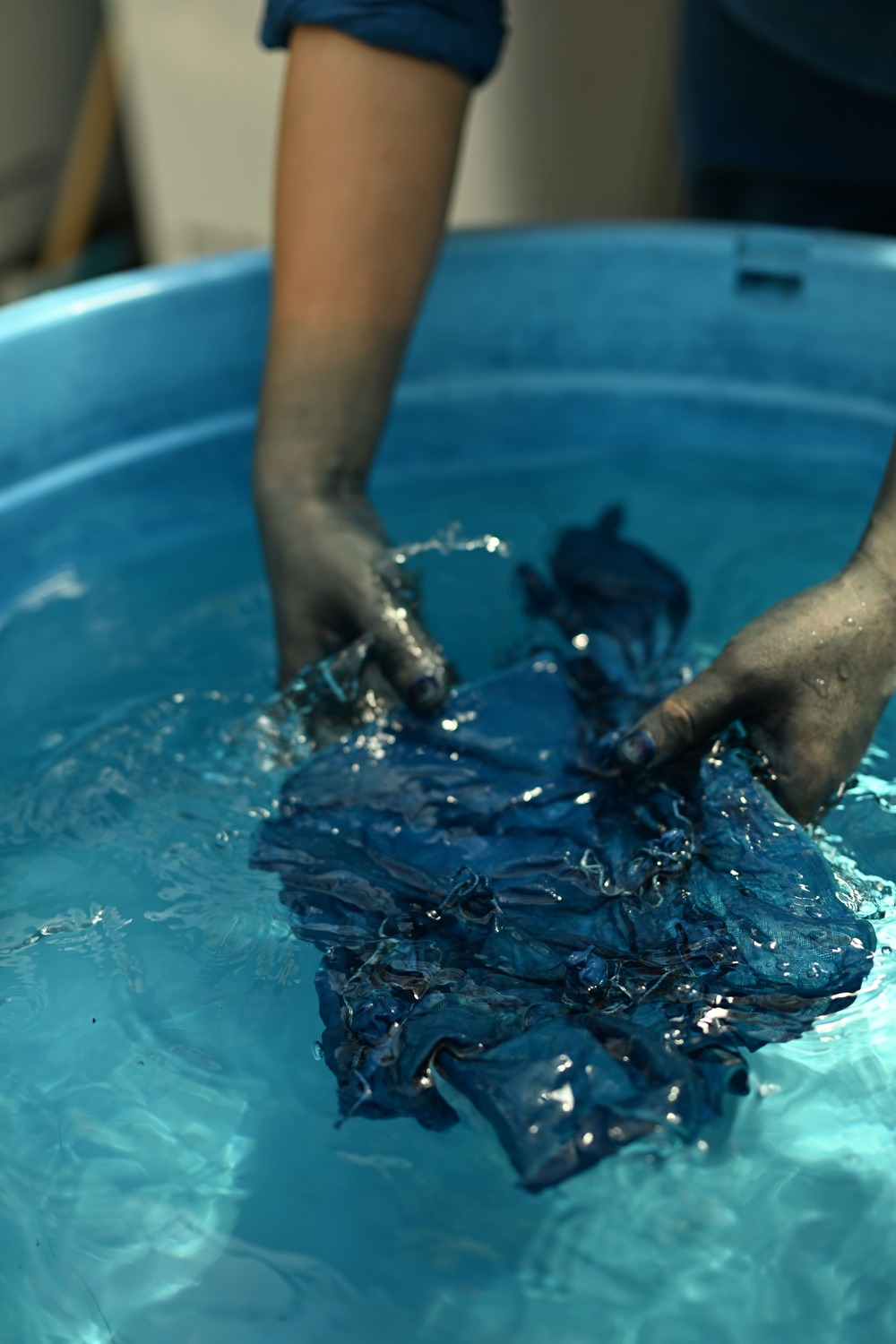 京藍の源流を巡る旅