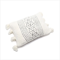 HCX0837 Luxe Casa Pillow 14*20