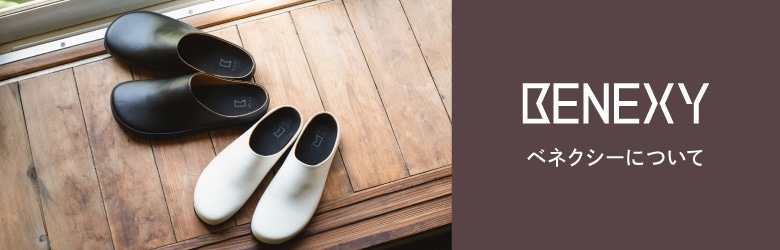 BENEXY（ベネクシー）について