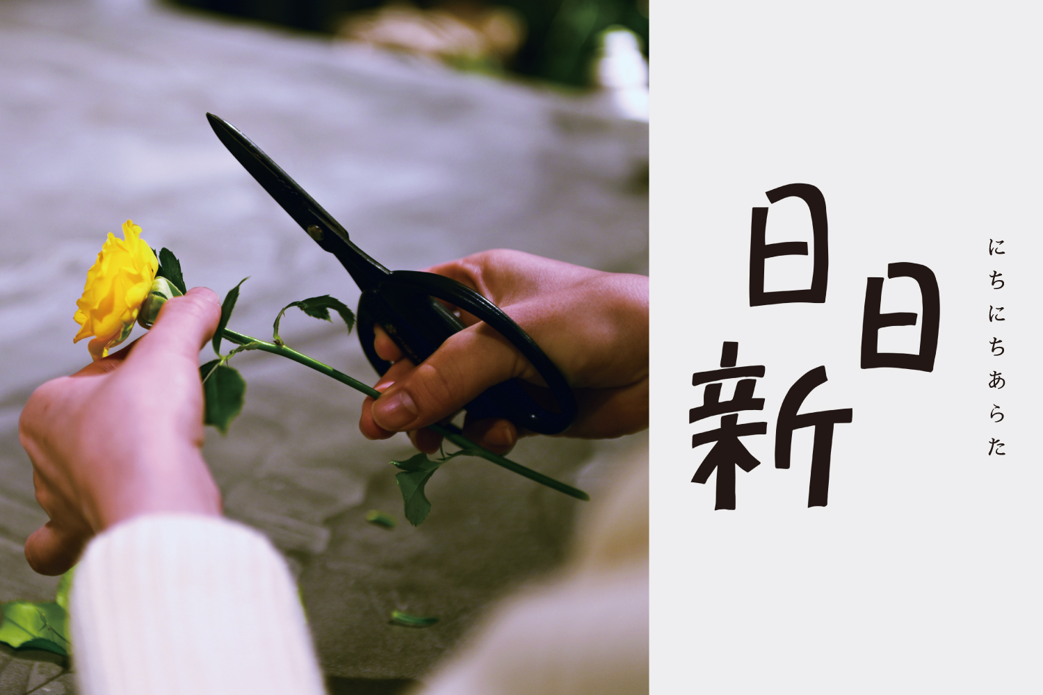 日日新 vol.1 フラワーアレンジメント