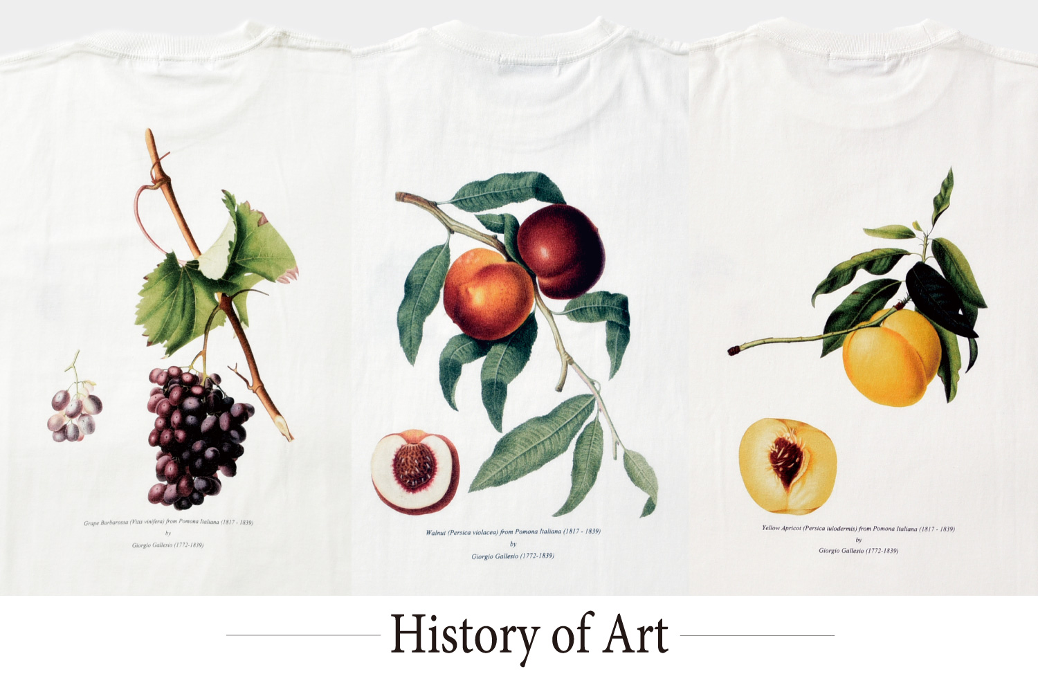 History of Art - PRINT T-SHIRT