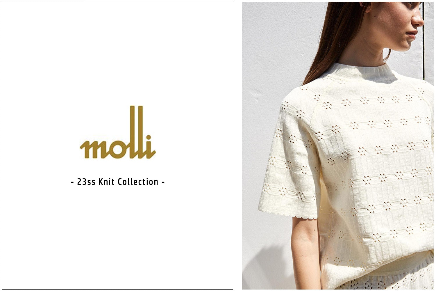 molli - knit collection