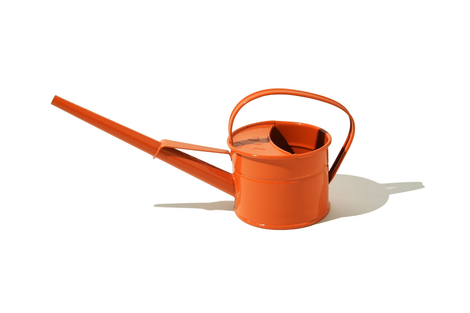 今日もビショップ LABOUR AND WAIT INDOOR WATERING CAN