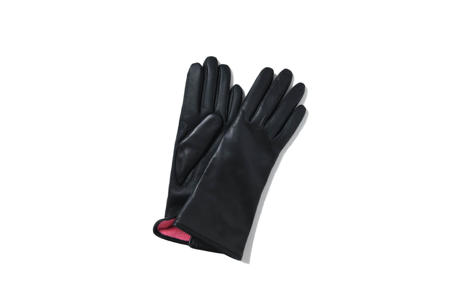 今日もビショップ　DENTS　BEARWOOD