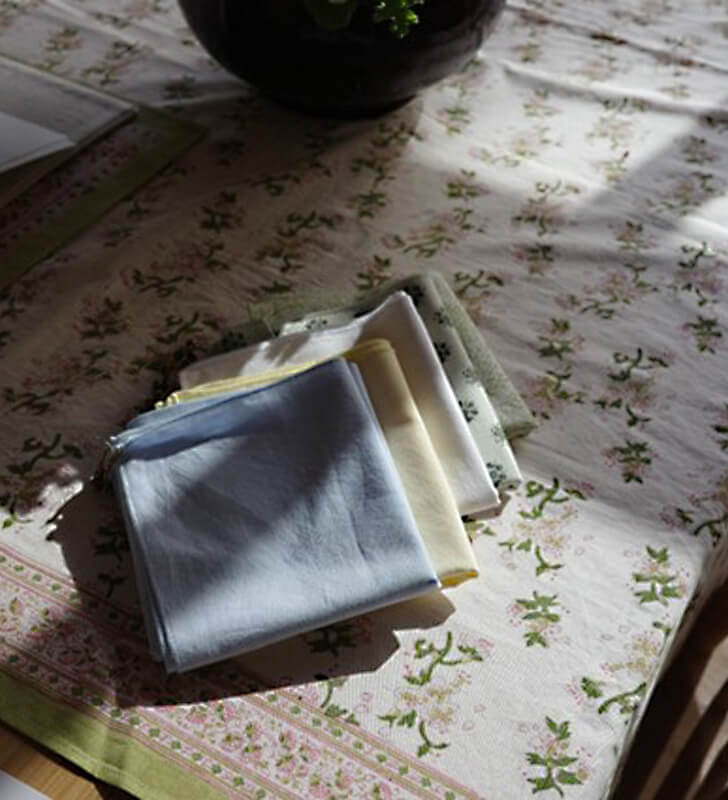 Pheeta - POP UP 26SS