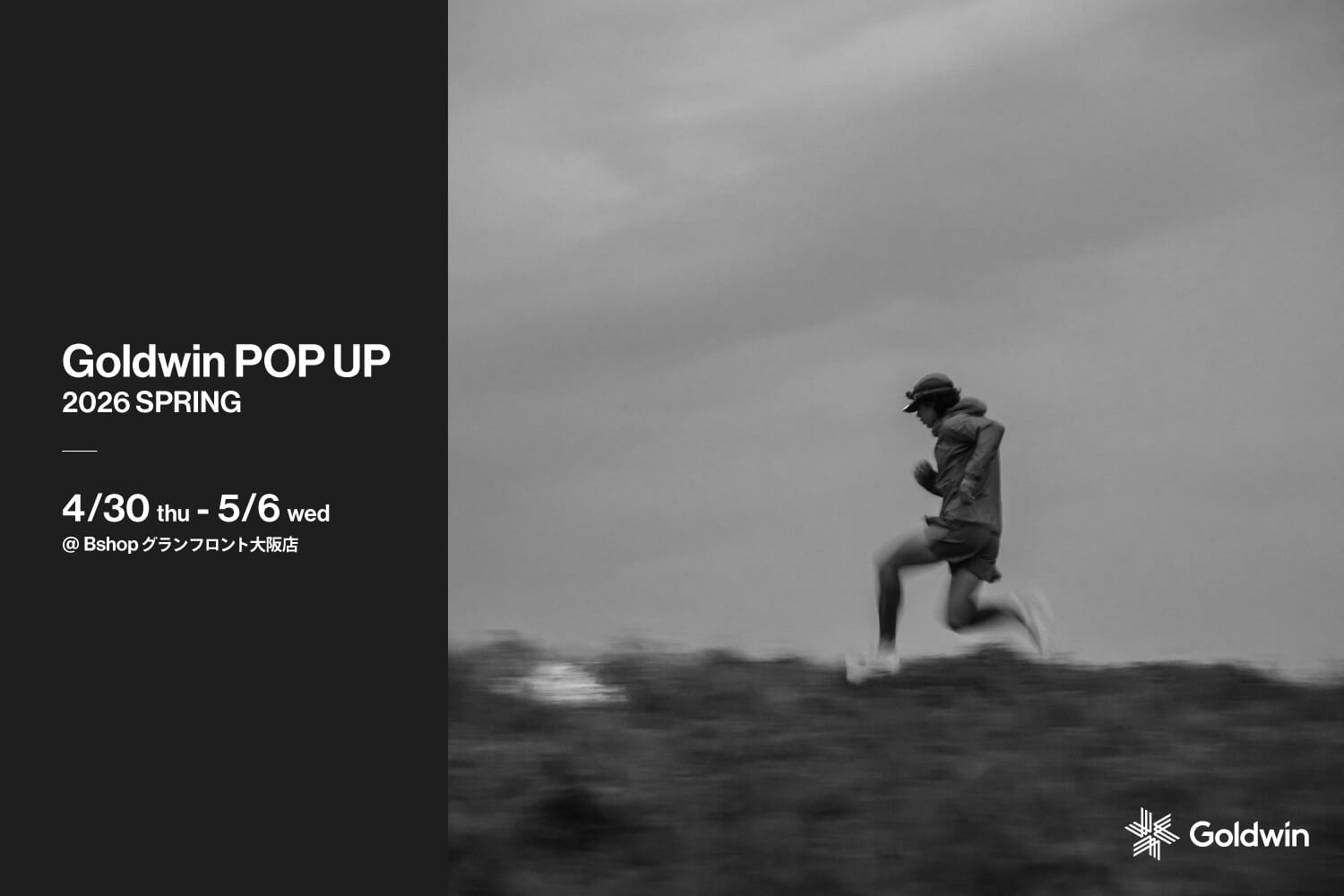 Goldwin - POP UP 2026 SPRING