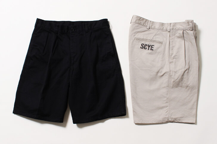 SCYEBASICS