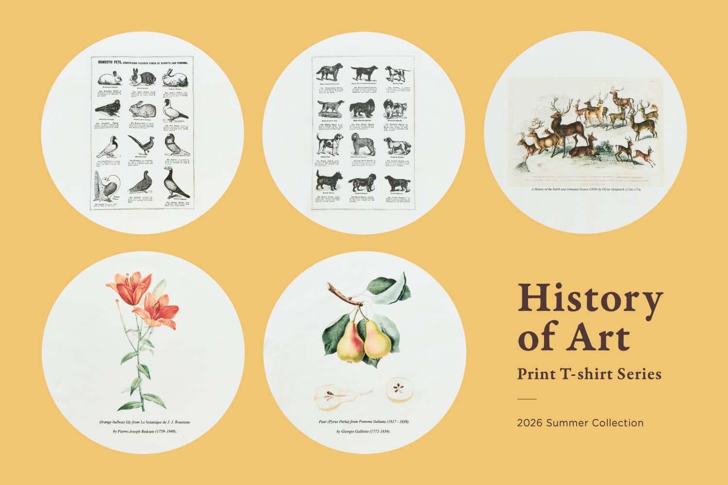 History of Art - 26SS COLLECTION