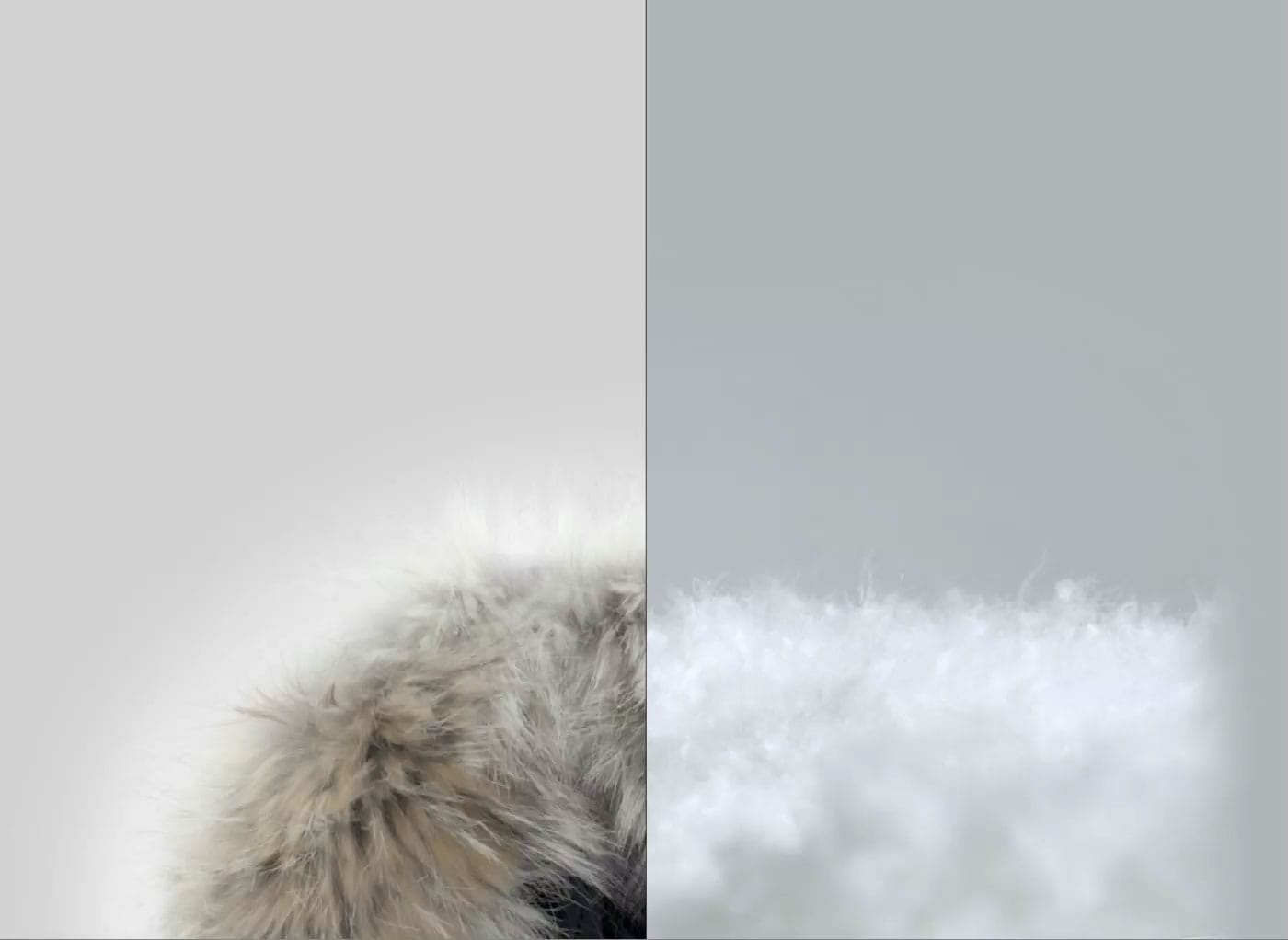 FUR & DOWN | カナダグース (CANADAGOOSE) 日本公式サイト
