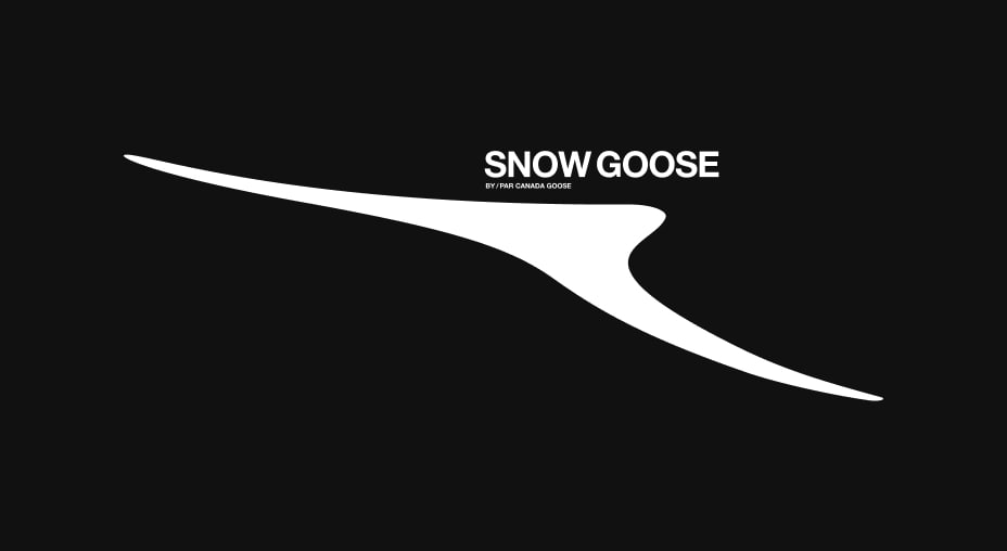 snow goose