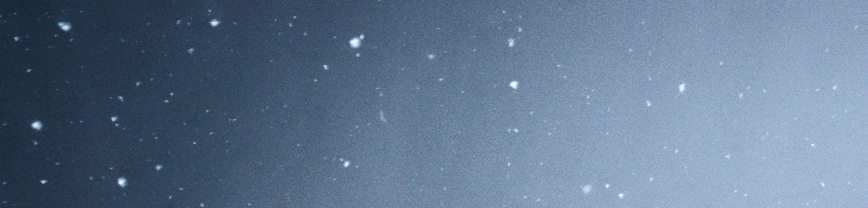 ホリデーギフトガイド