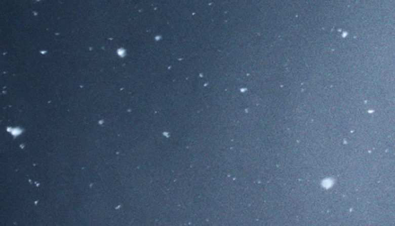 ホリデーギフトガイド