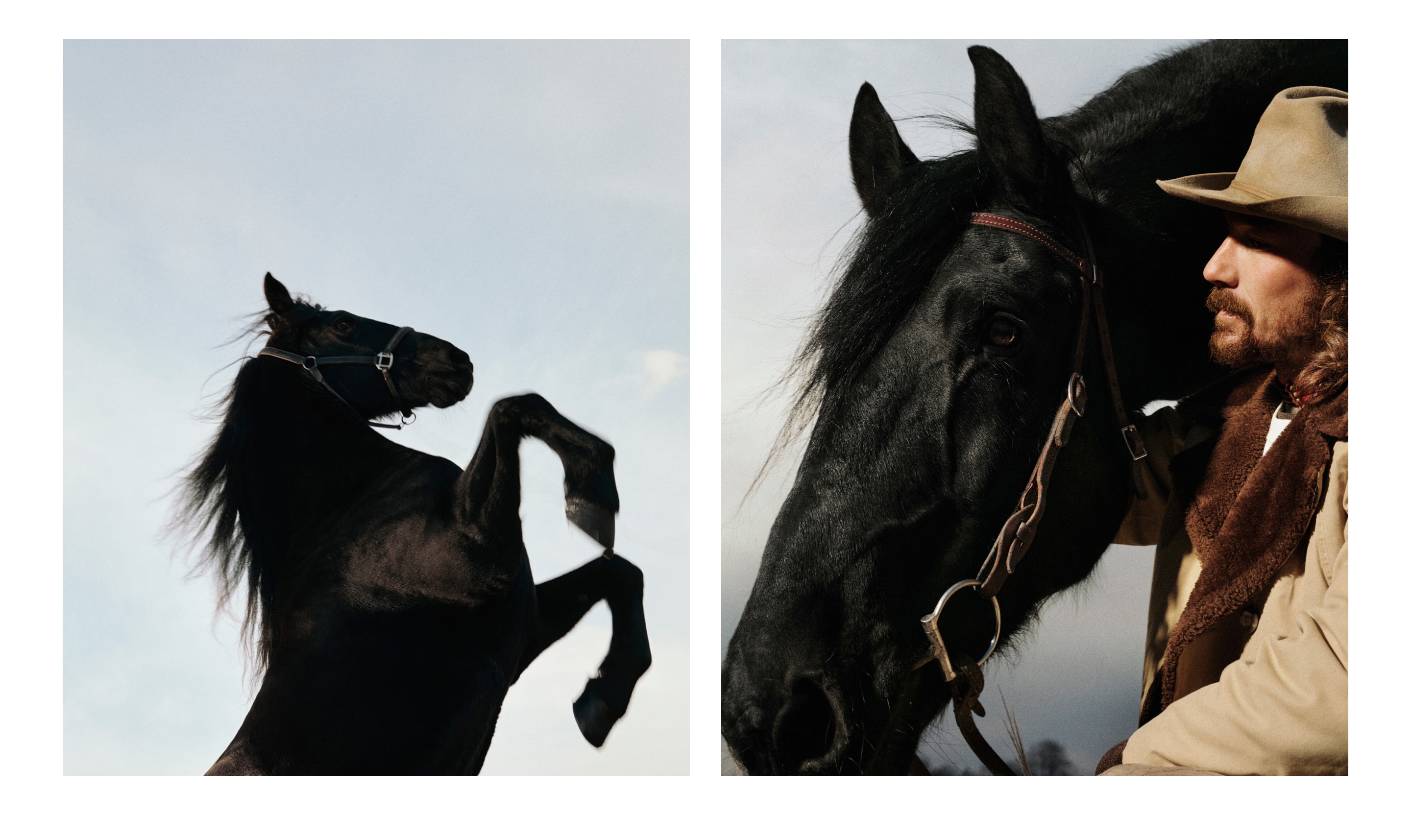 ブレイディ・ジャンドローと馬