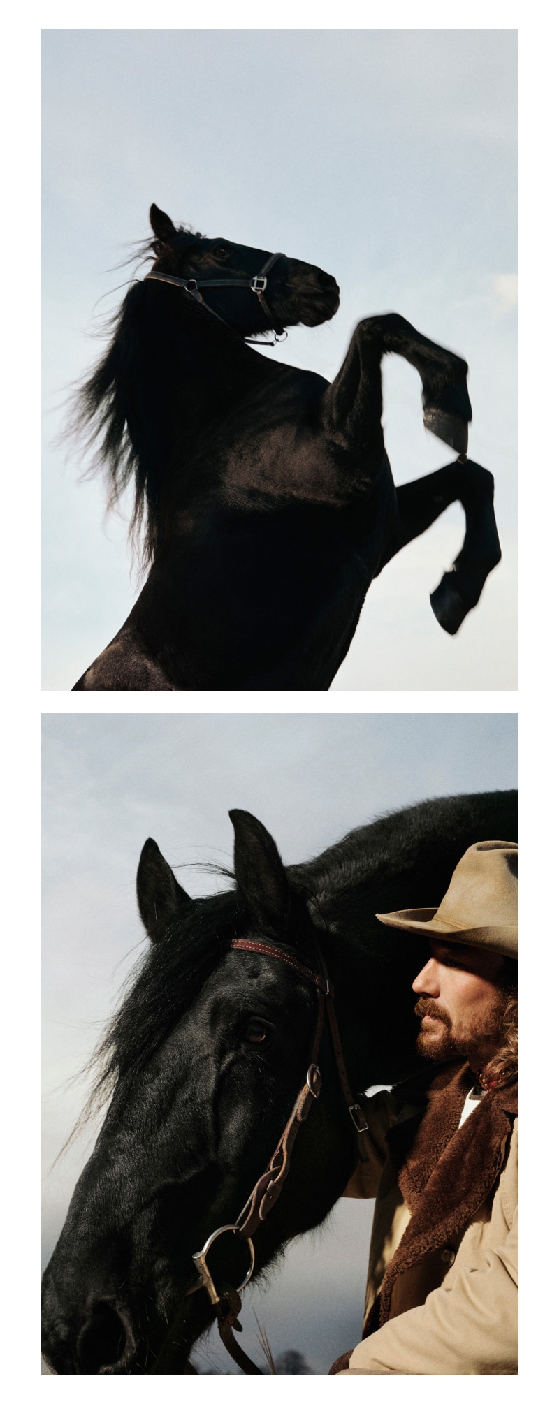 ブレイディ・ジャンドローと馬