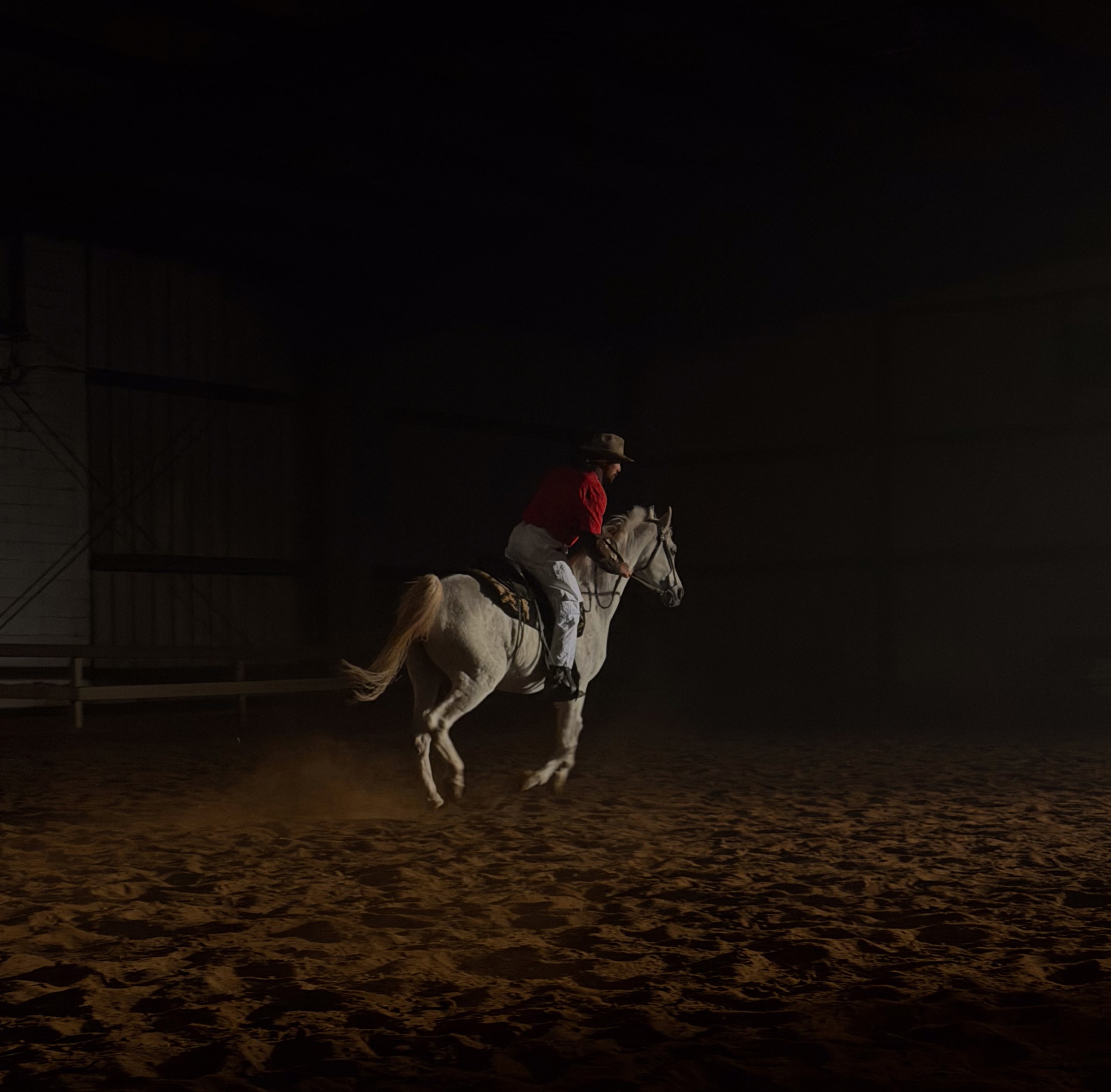 ブレイディ・ジャンドローと馬