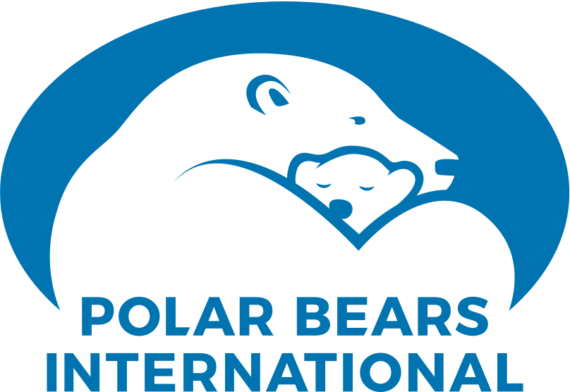 Polar Bears International | CANADAGOOSE (カナダグース)
