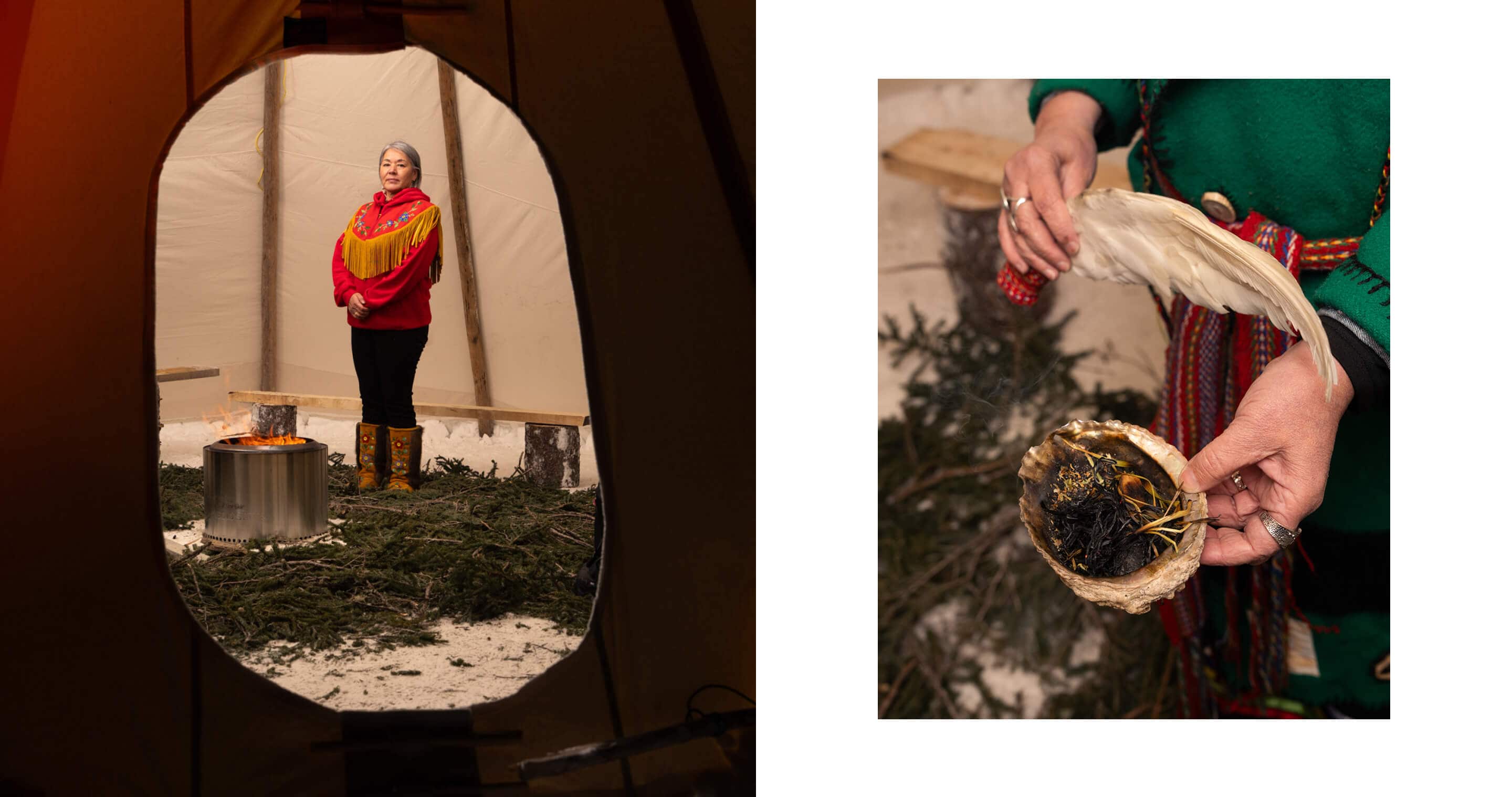 ポーラーベアインターナショナル（PBI）