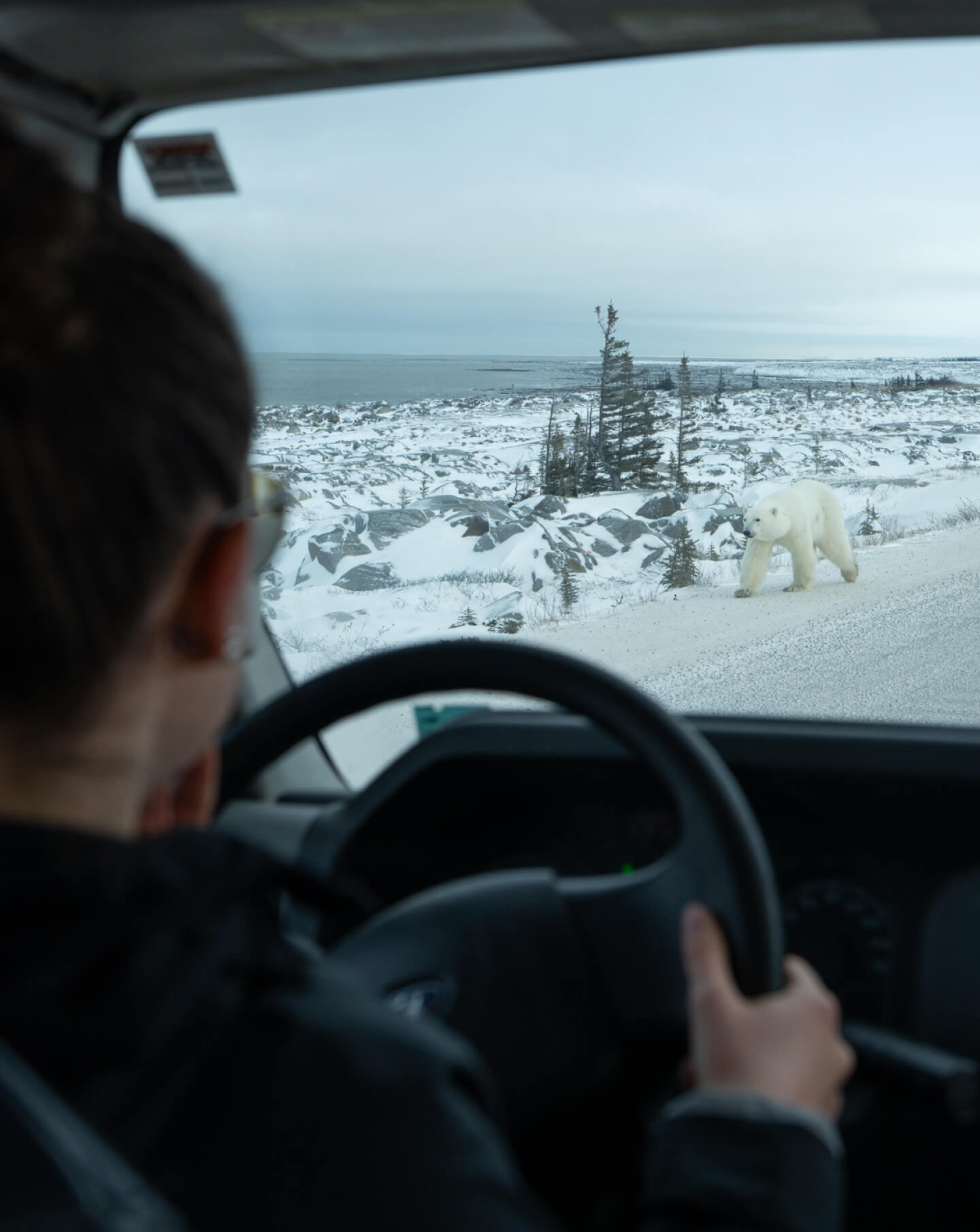 ポーラーベアインターナショナル（PBI）