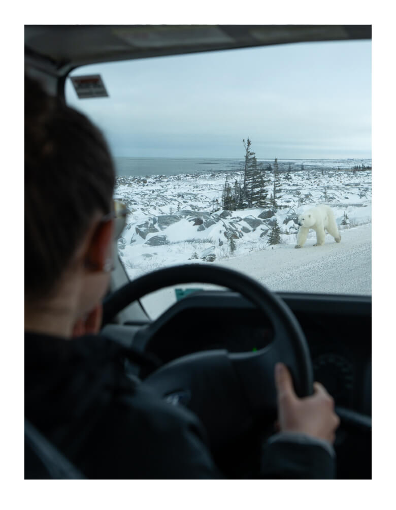 ポーラーベアインターナショナル（PBI）