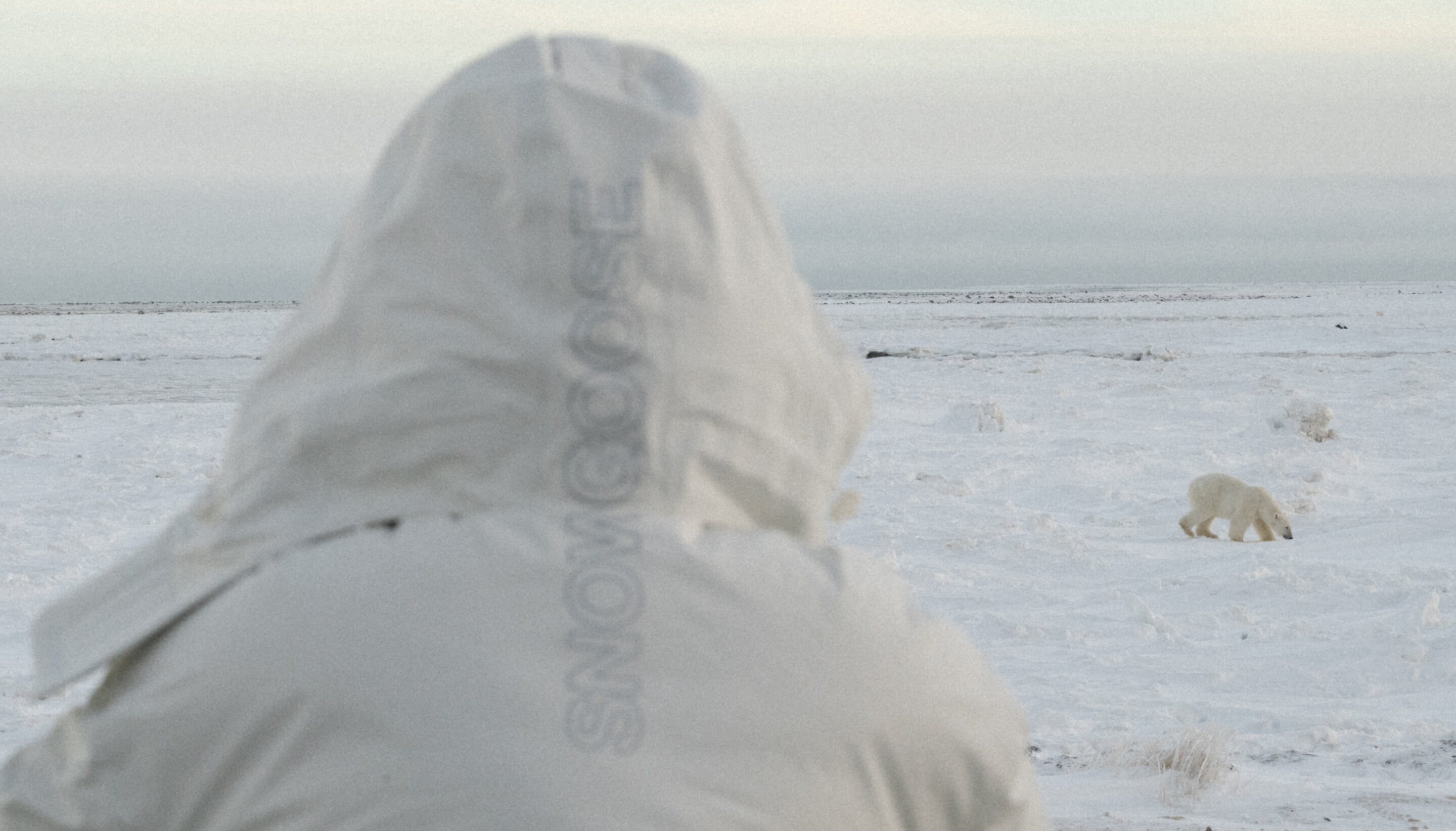 スノーグース by カナダグース