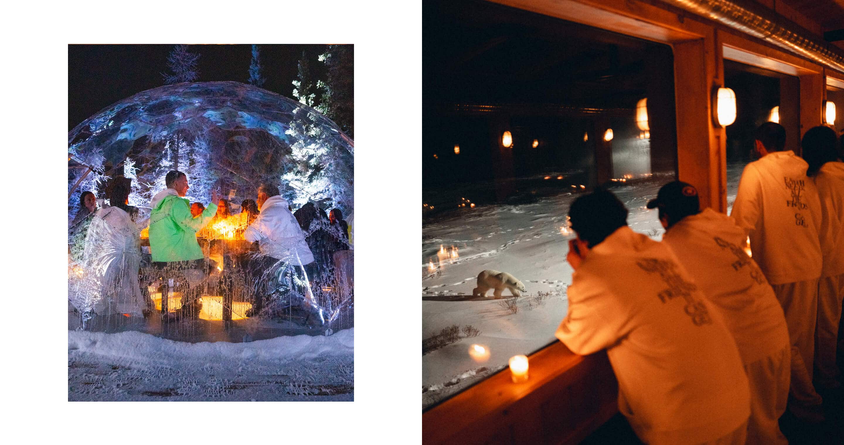 スノーグース by カナダグース