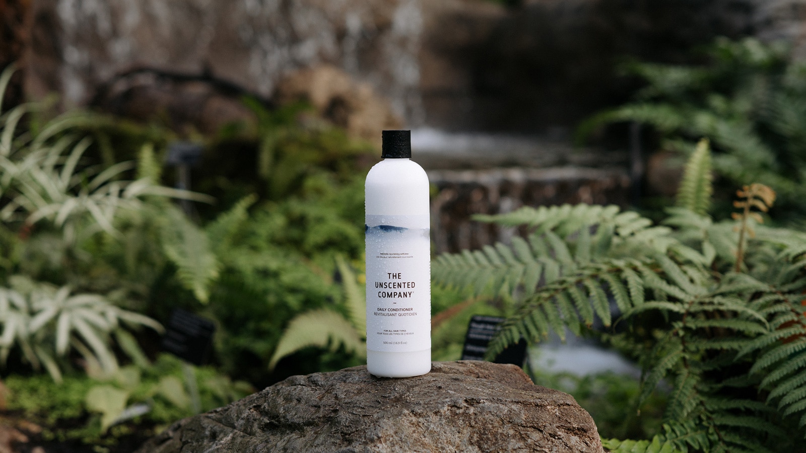 the_unscented_company_01