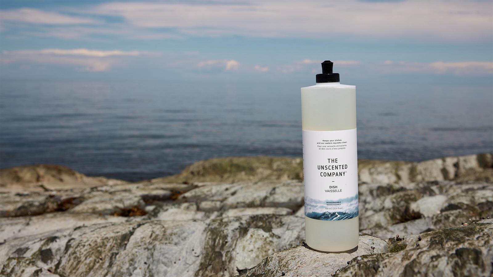 the_unscented_company_02