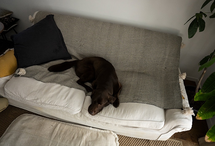 column_one_good_sofa_detail_04.jpg