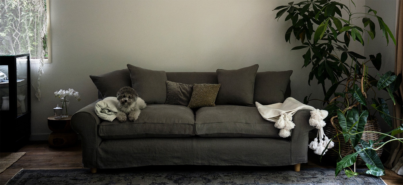 column_one_good_sofa_main_644.jpg