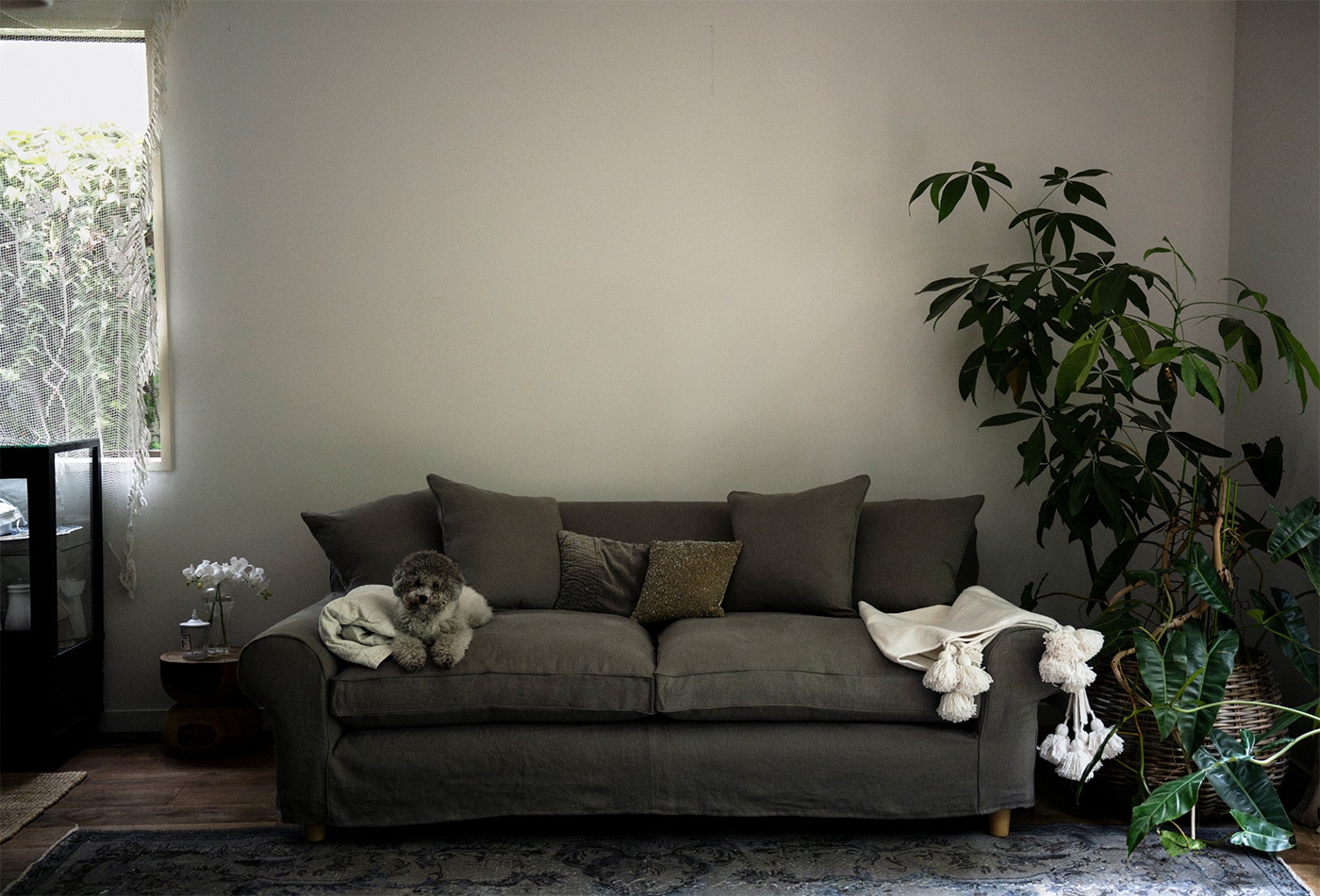 column_one_good_sofa_main_950.jpg
