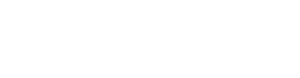 IL BISONTE