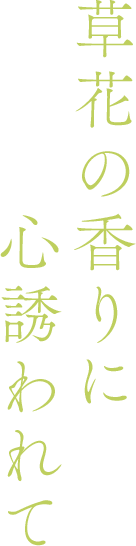 草花の香りに心誘われて