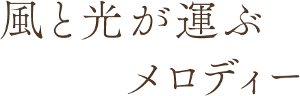 風と光が運ぶメロディー