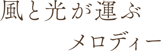 風と光が運ぶメロディー