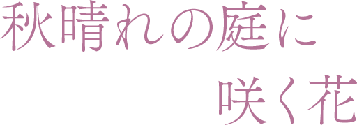 秋晴れの庭に咲く花