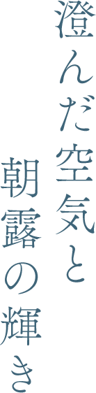 澄んだ空気と朝露の輝き