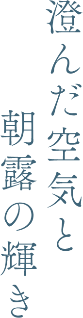 澄んだ空気と朝露の輝き