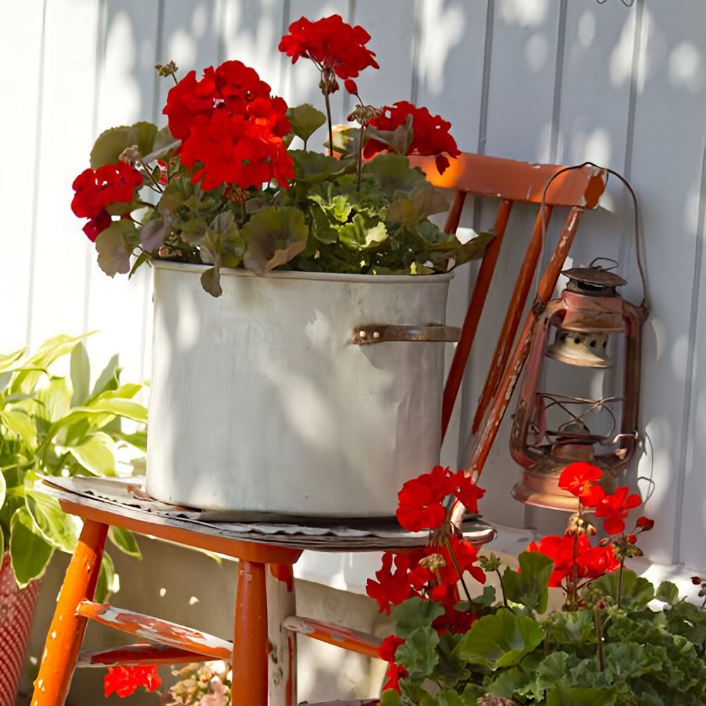 No.2 AGUA GERANIUM
