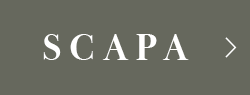 SCAPA 先行受注