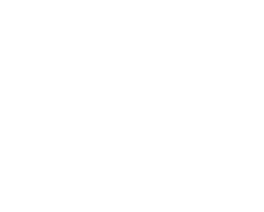 40th Anniversary Item