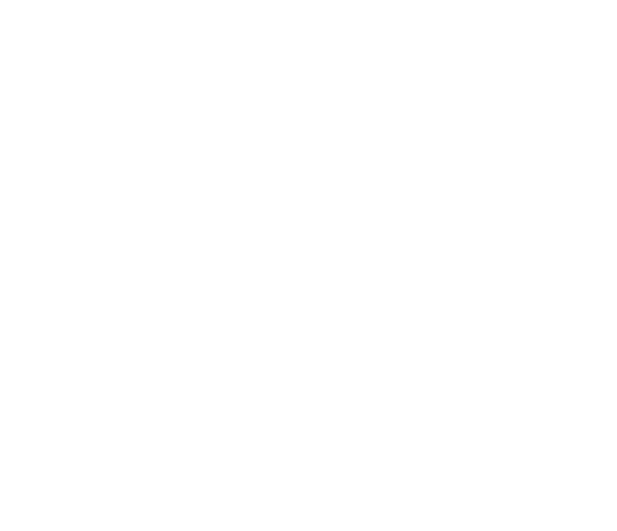 40th Anniversary Item