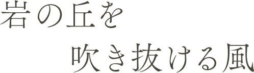 岩の丘を吹き抜ける風
