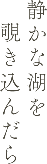 静かな湖を覗き込んだら