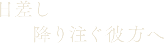 日差し降り注ぐ彼方へ