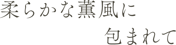 柔らかな薫風に包まれて