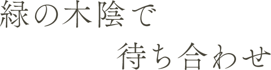 緑の木陰で待ち合わせ