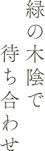 緑の木陰で待ち合わせ