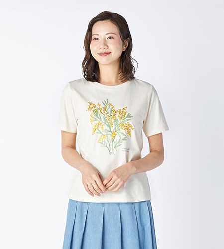 ４０／２天竺カットソー