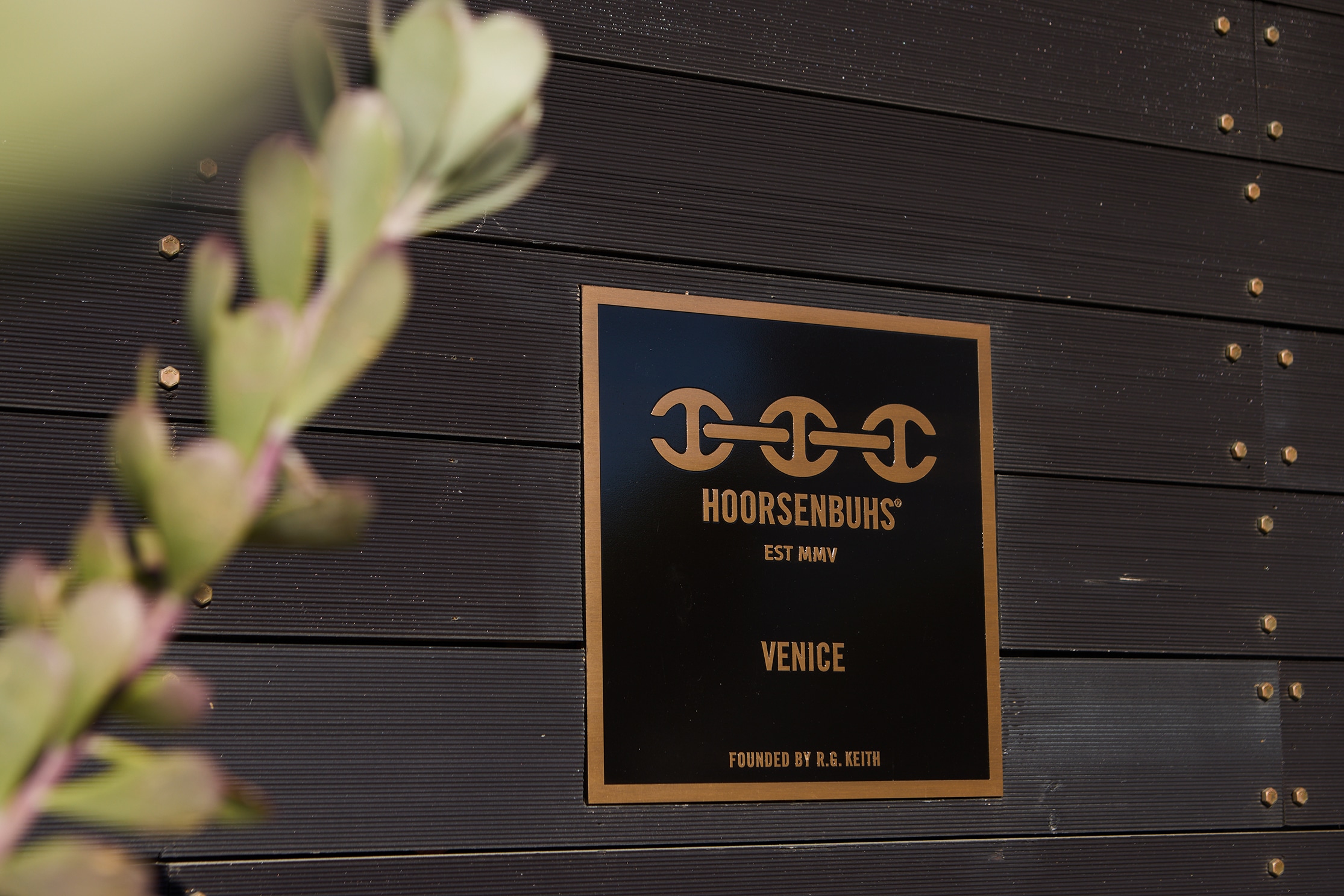 VENICE OPENING PARTY