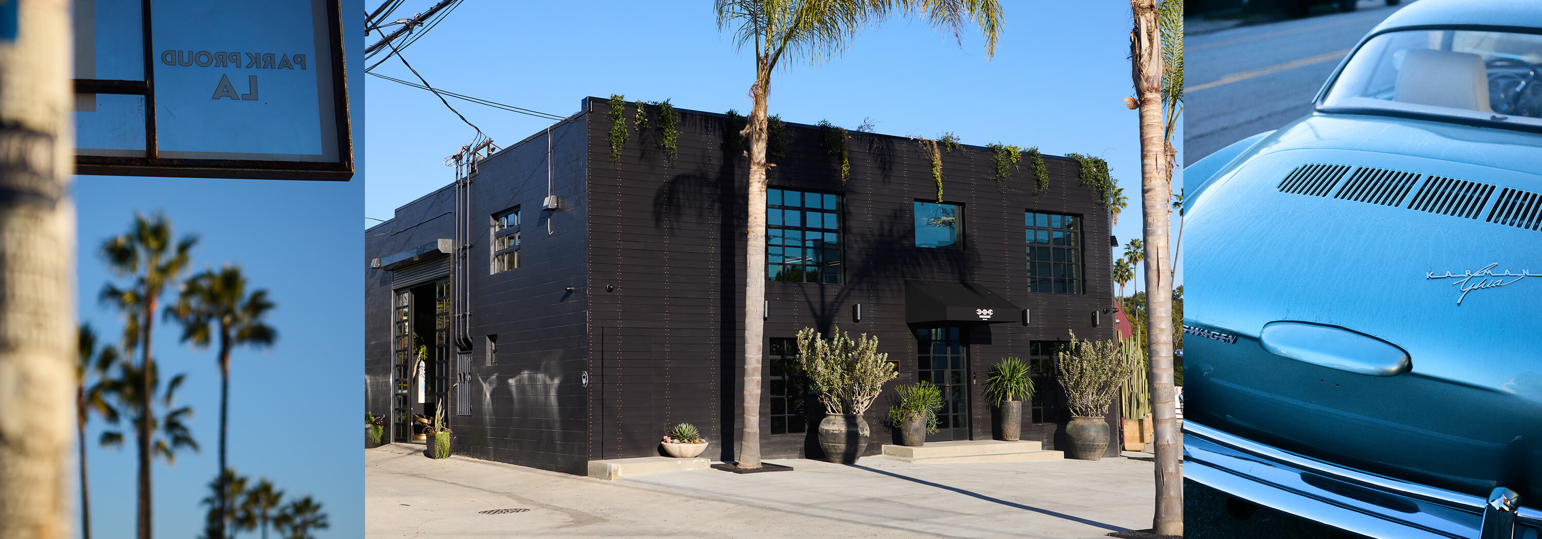 VENICE OPENING PARTY